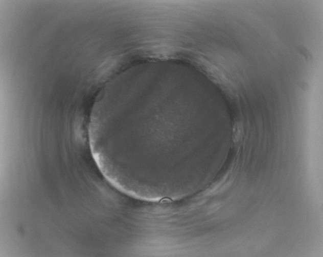 X0000115061202200911231207