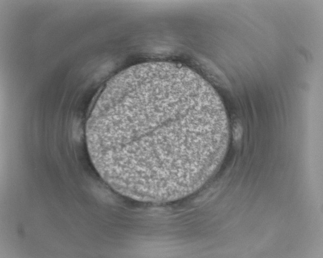 X0000115061204200911231207