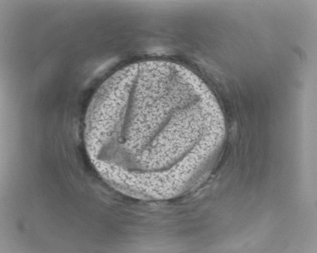 X0000115061205200911231207