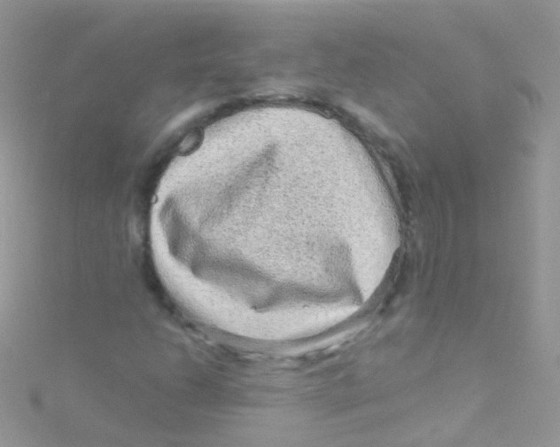 X0000115061206200911231207