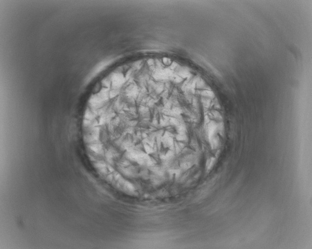 X0000115061208200911231207