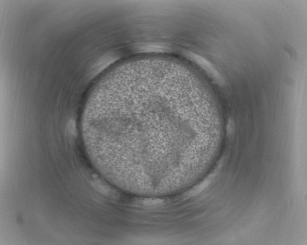 X0000115061209200911231207