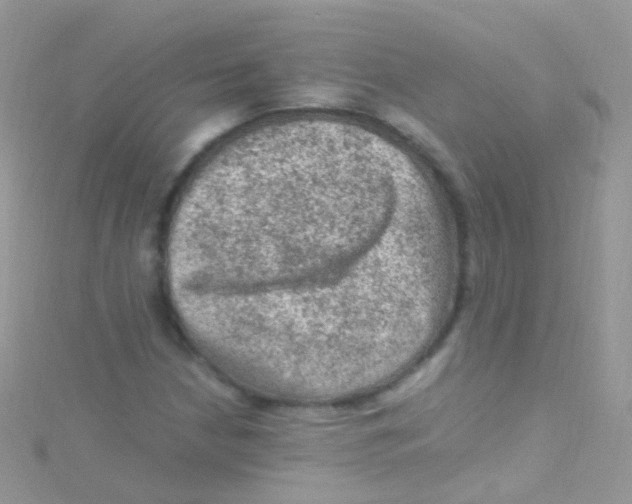 X0000115061210200911231207