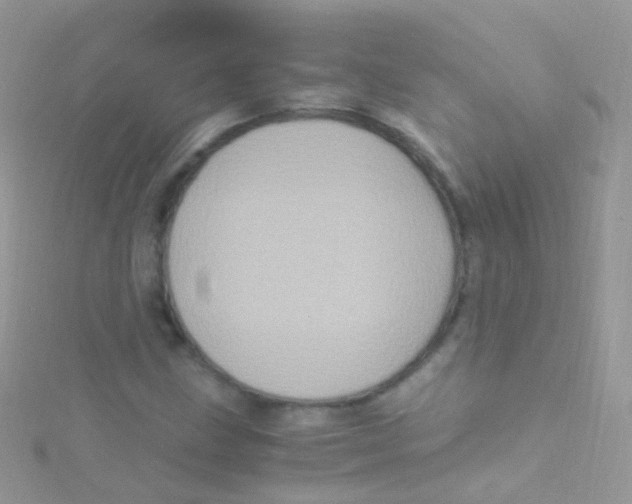 X0000115061211200911231207