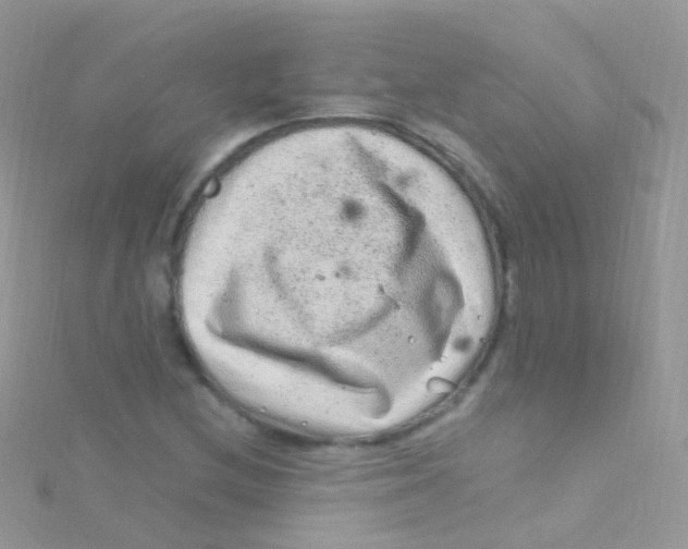 X0000115061212200911231207