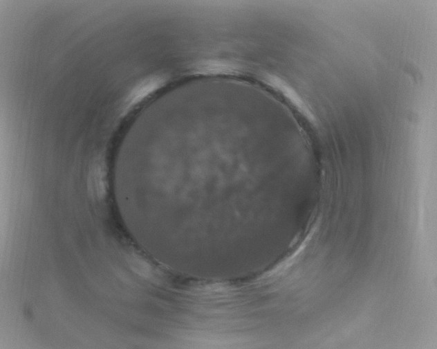 X0000115061213200911231208