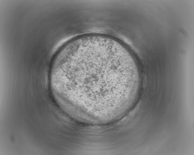 X0000115061214200911231208