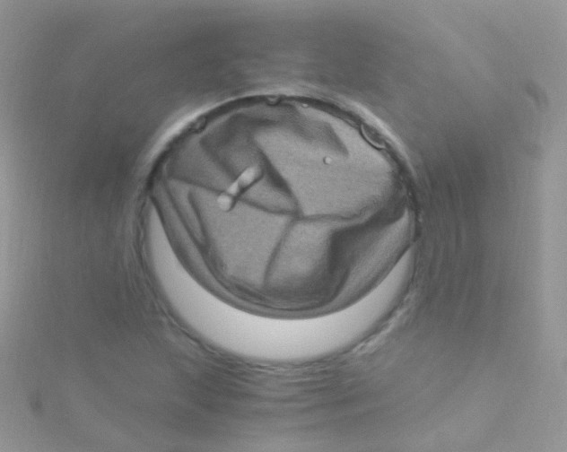 X0000115061215200911231208