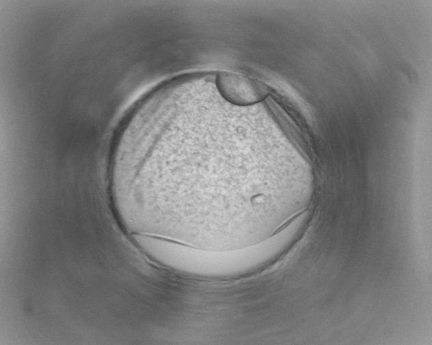 X0000115061216200911231208