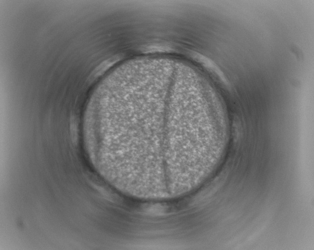 X0000115061217200911231208