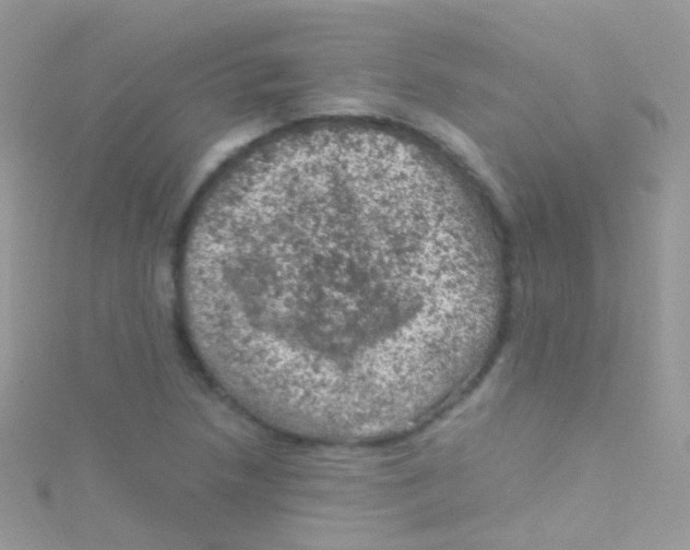 X0000115061218200911231208