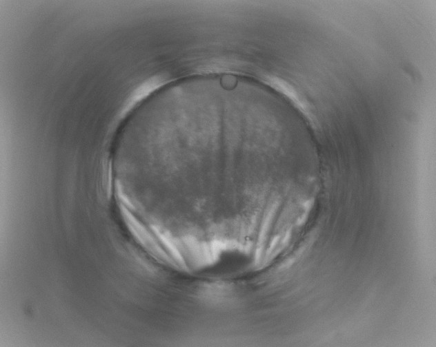 X0000115061219200911231208