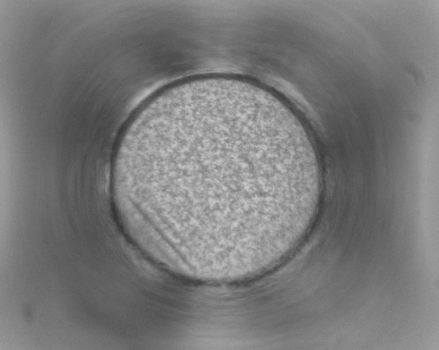 X0000115061220200911231208