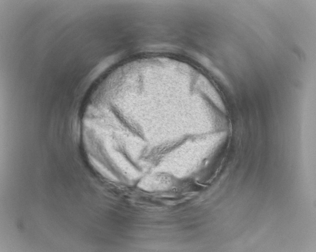 X0000115061221200911231208