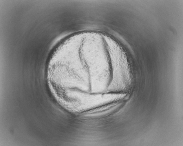 X0000115061222200911231208