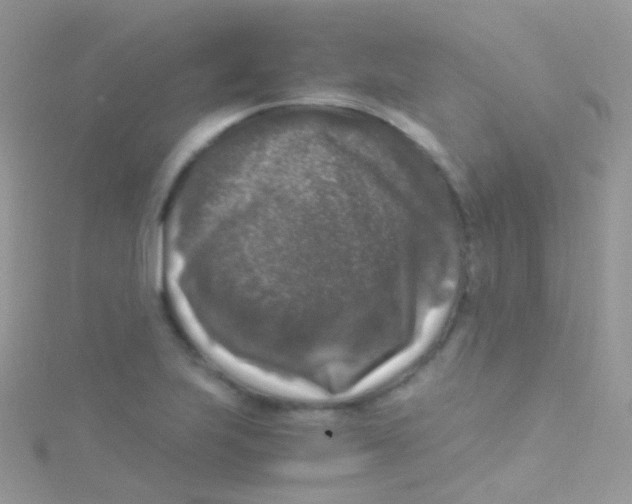 X0000115061223200911231208