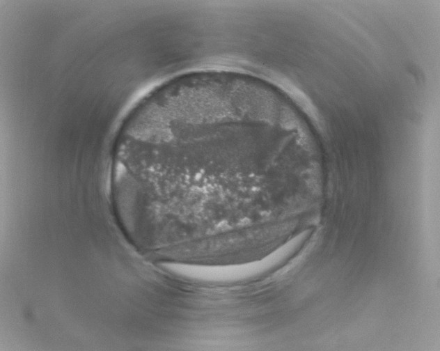 X0000115061224200911231208