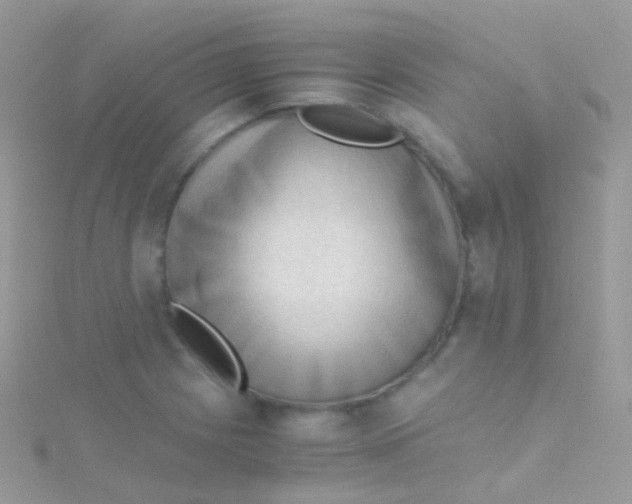 X0000115061225200911231208