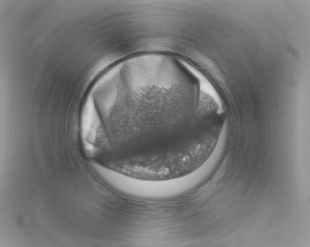 X0000115061226200911231208