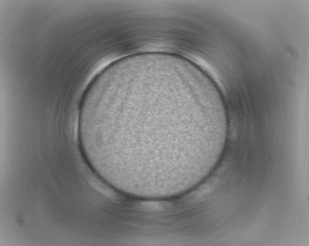 X0000115061227200911231208