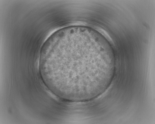 X0000115061228200911231208