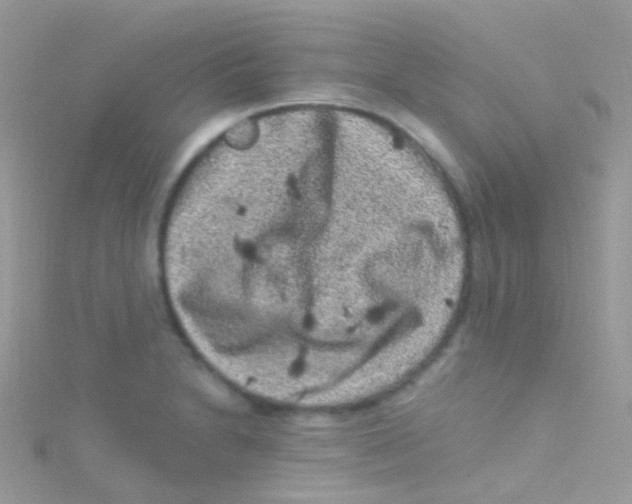 X0000115061230200911231208