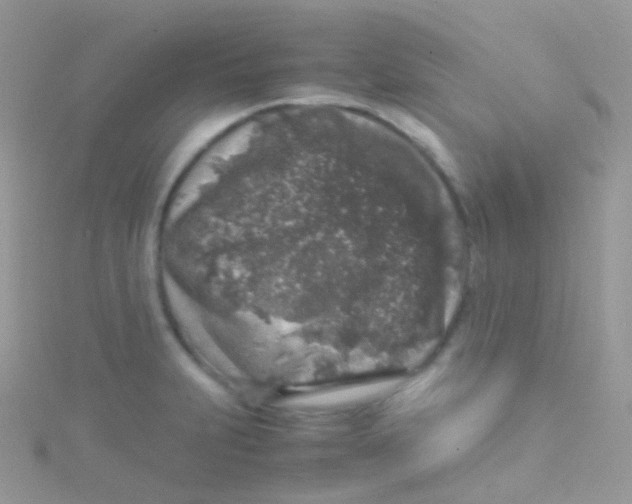 X0000115061231200911231208