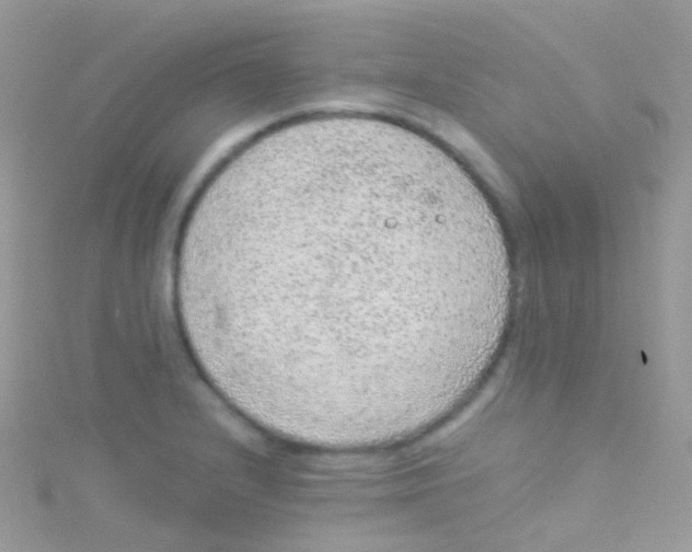 X0000115061232200911231208