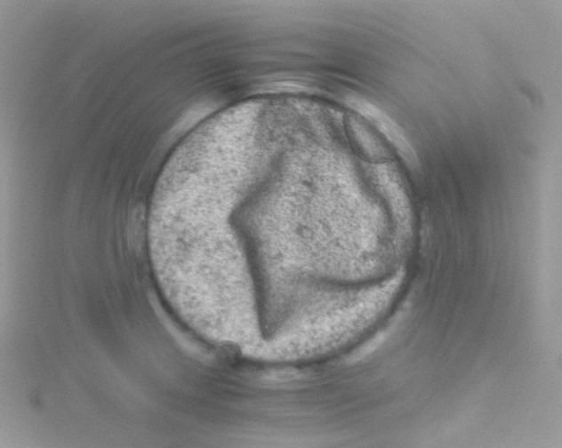 X0000115061233200911231208