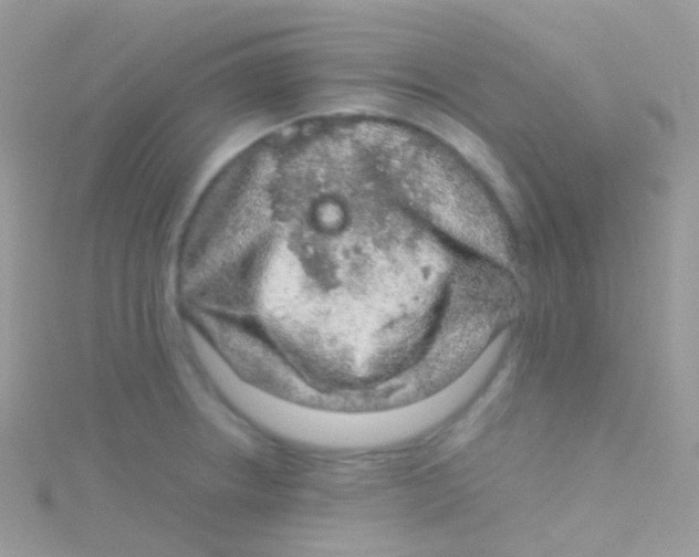 X0000115061234200911231208