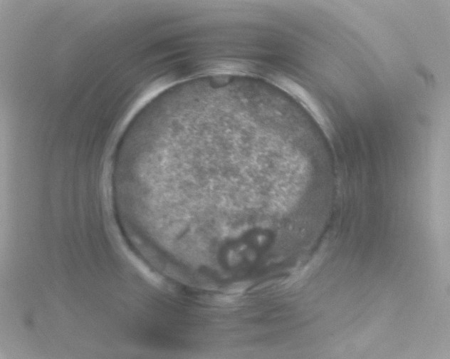 X0000115061235200911231208