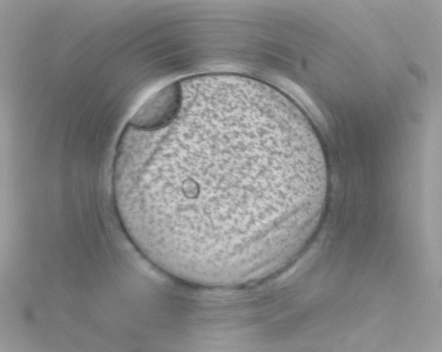 X0000115061236200911231208