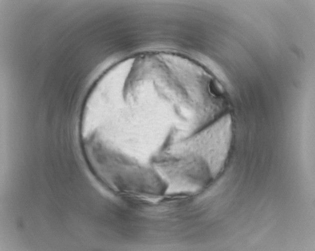 X0000115061237200911231208