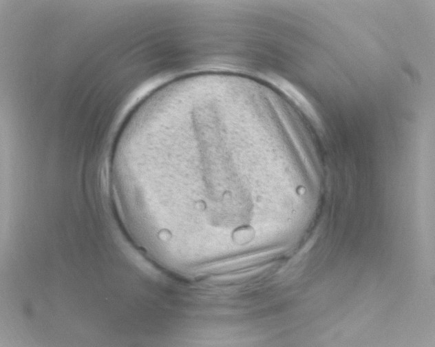 X0000115061238200911231208