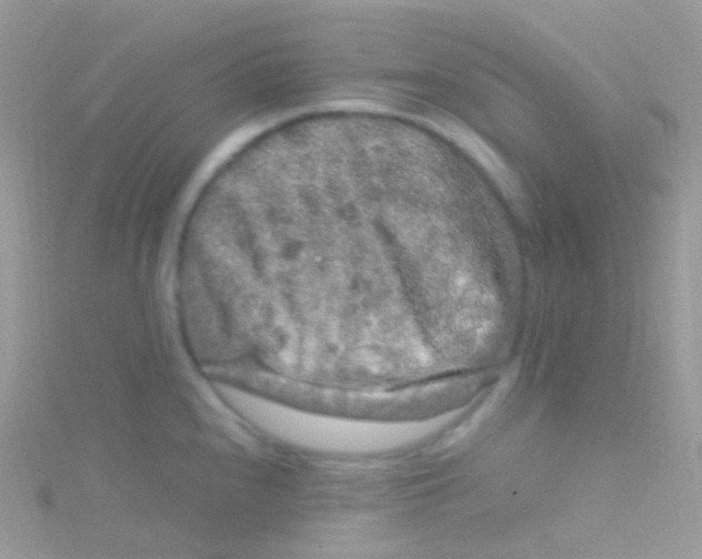 X0000115061240200911231208