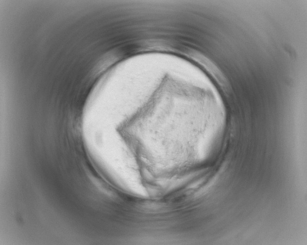 X0000115061241200911231208