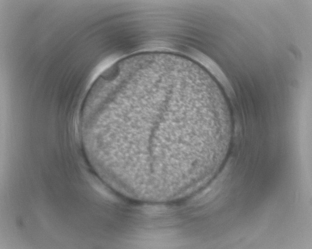 X0000115061242200911231208