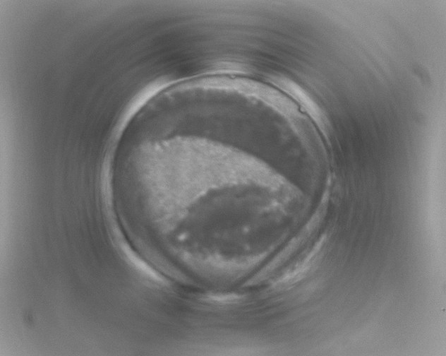 X0000115061243200911231208