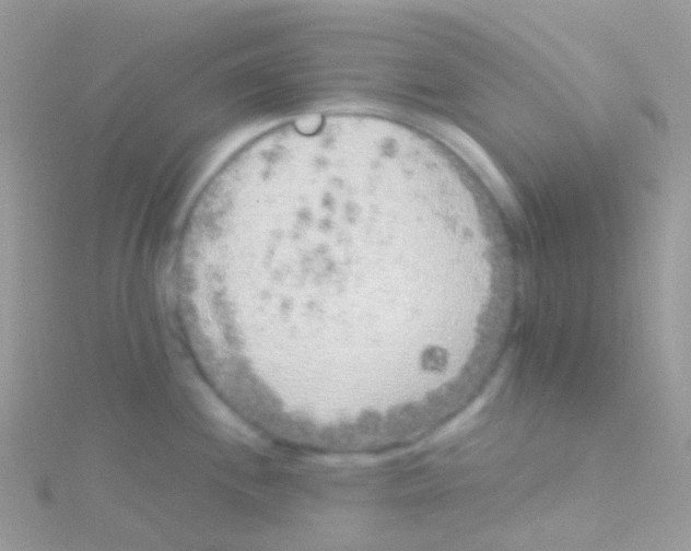 X0000115061244200911231208