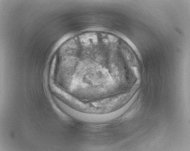 X0000115061245200911231208