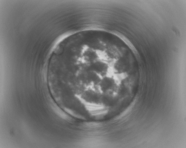 X0000115061246200911231208