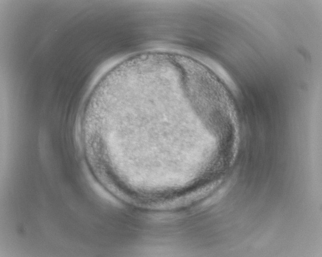 X0000115061247200911231208