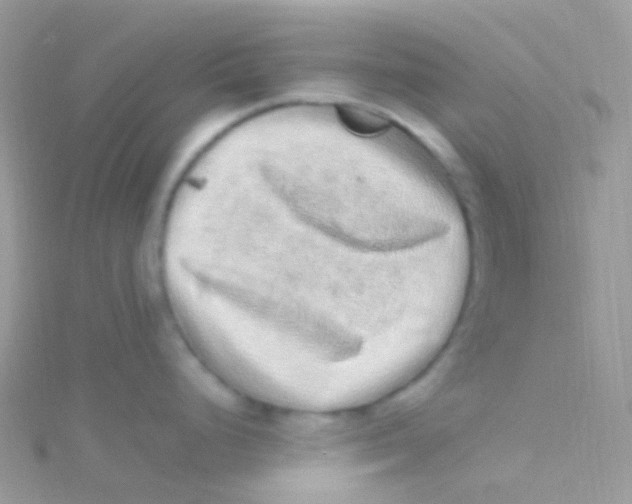 X0000115061248200911231208