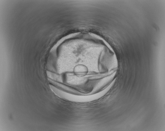 X0000115061249200911231207