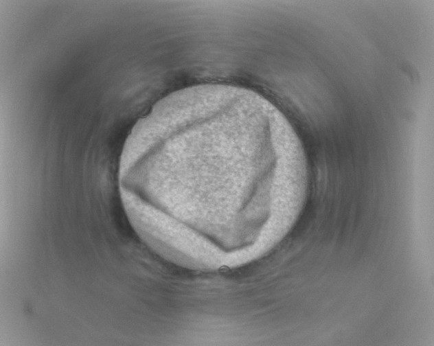 X0000115061250200911231207