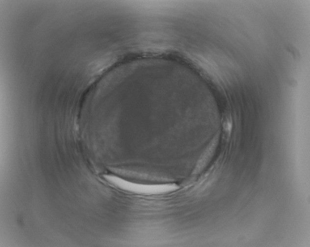 X0000115061252200911231207