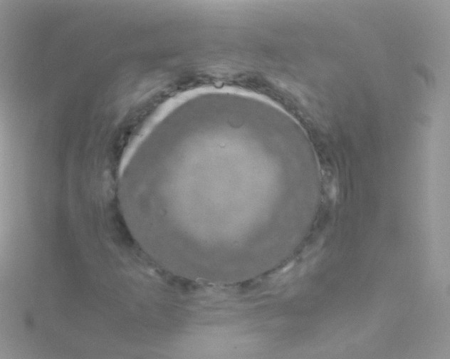 X0000115061253200911231207