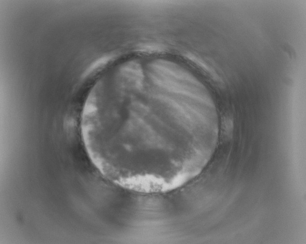 X0000115061254200911231207