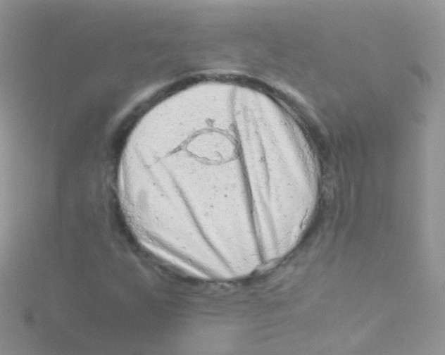 X0000115061255200911231207