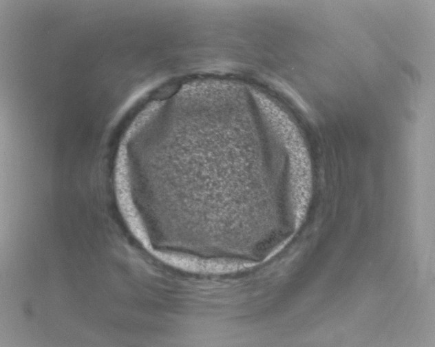 X0000115061256200911231207